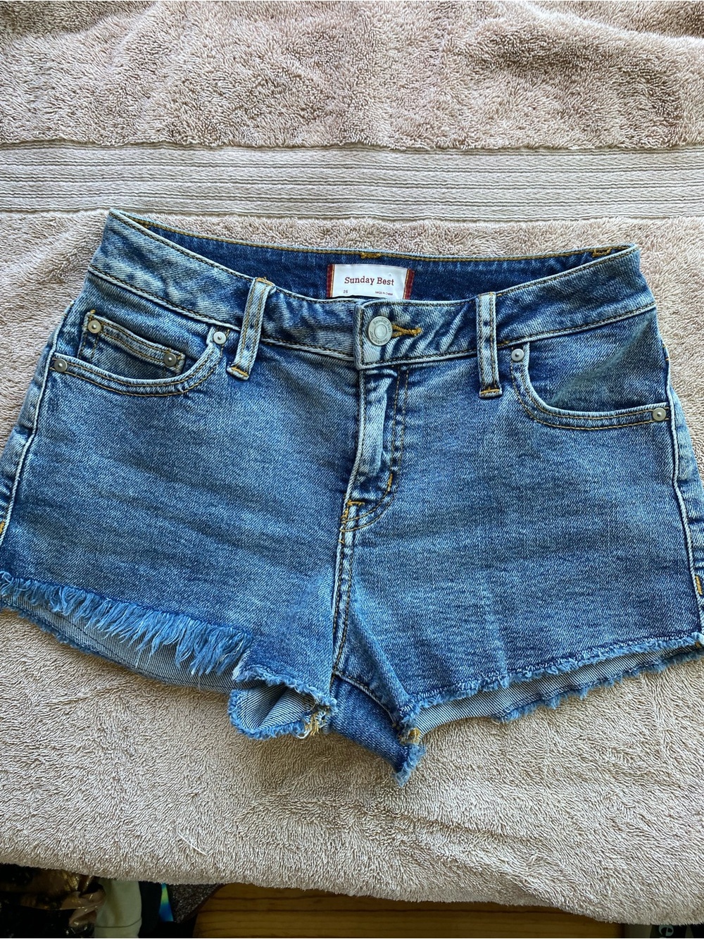 Aritzia Sunday Best Cut-Off Denim Shorts - Frayed Raw Hem 25